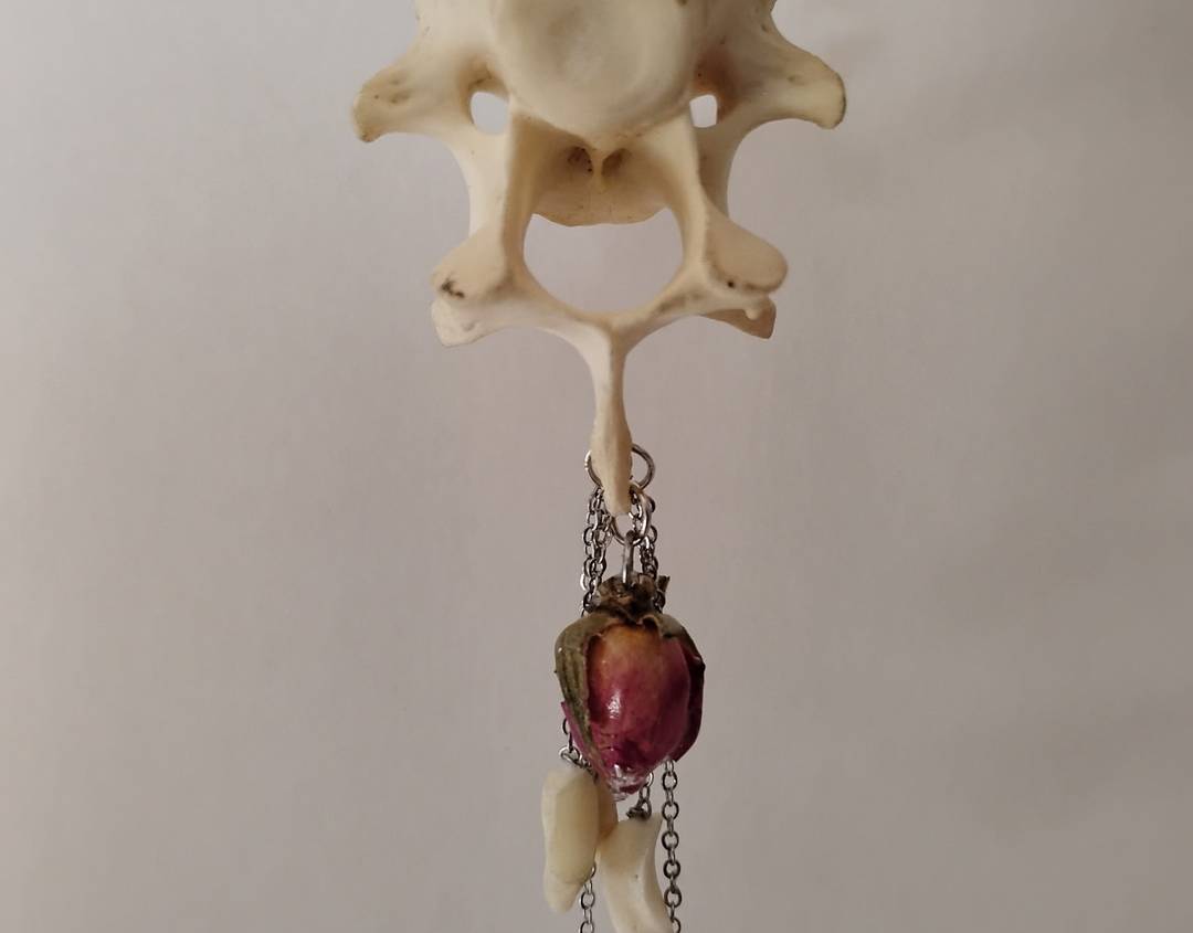 bones and roses